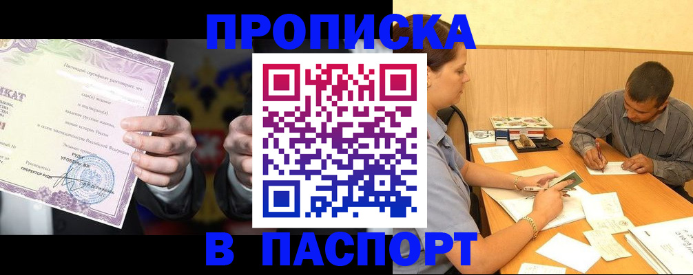 где прописаться в Звенигово